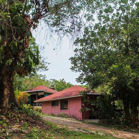 Winika Alterra Villa Palenque Dış mekan fotoğraf