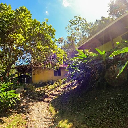 Winika Alterra Villa Palenque Dış mekan fotoğraf