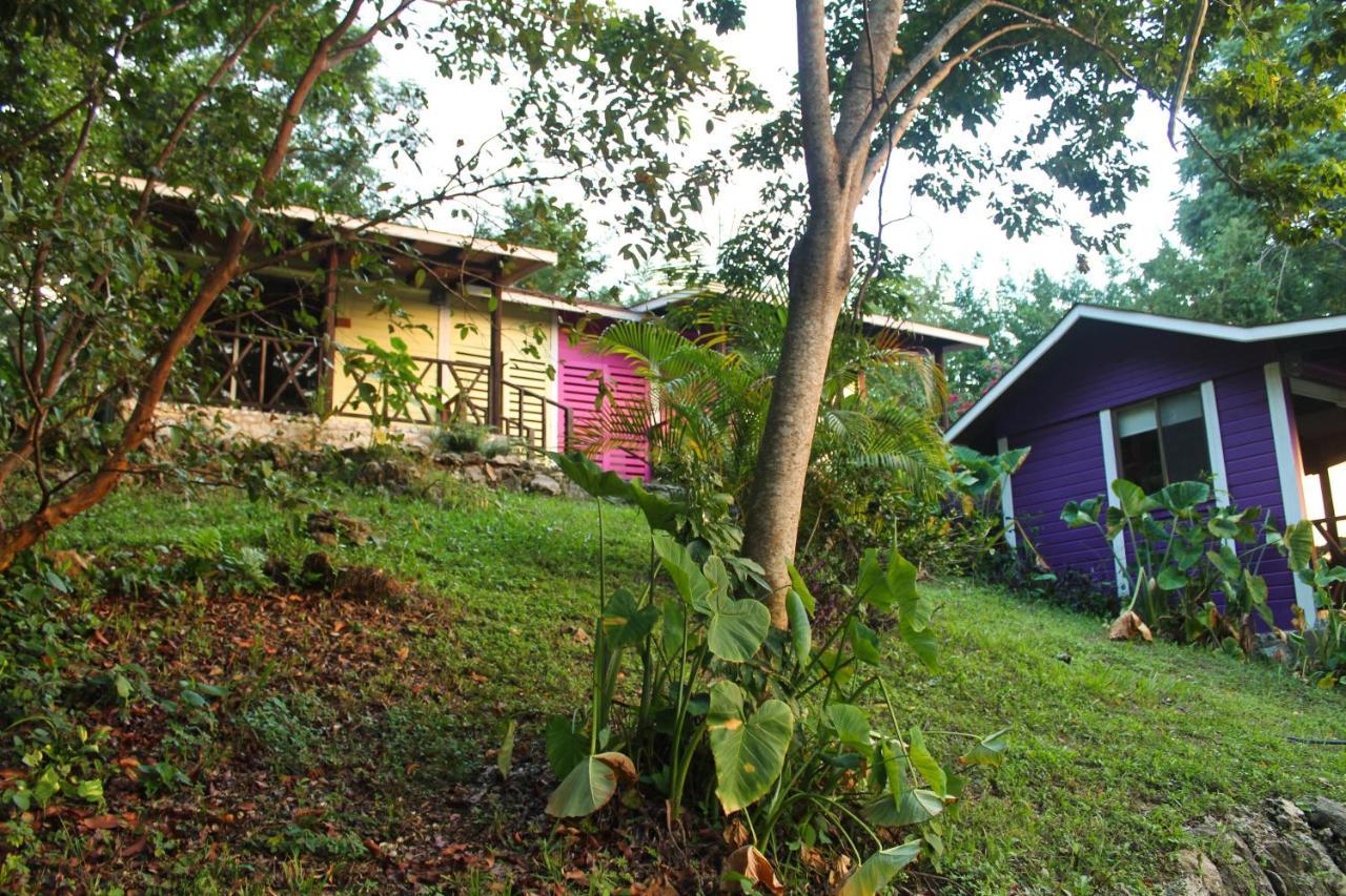 Winika Alterra Villa Palenque Dış mekan fotoğraf