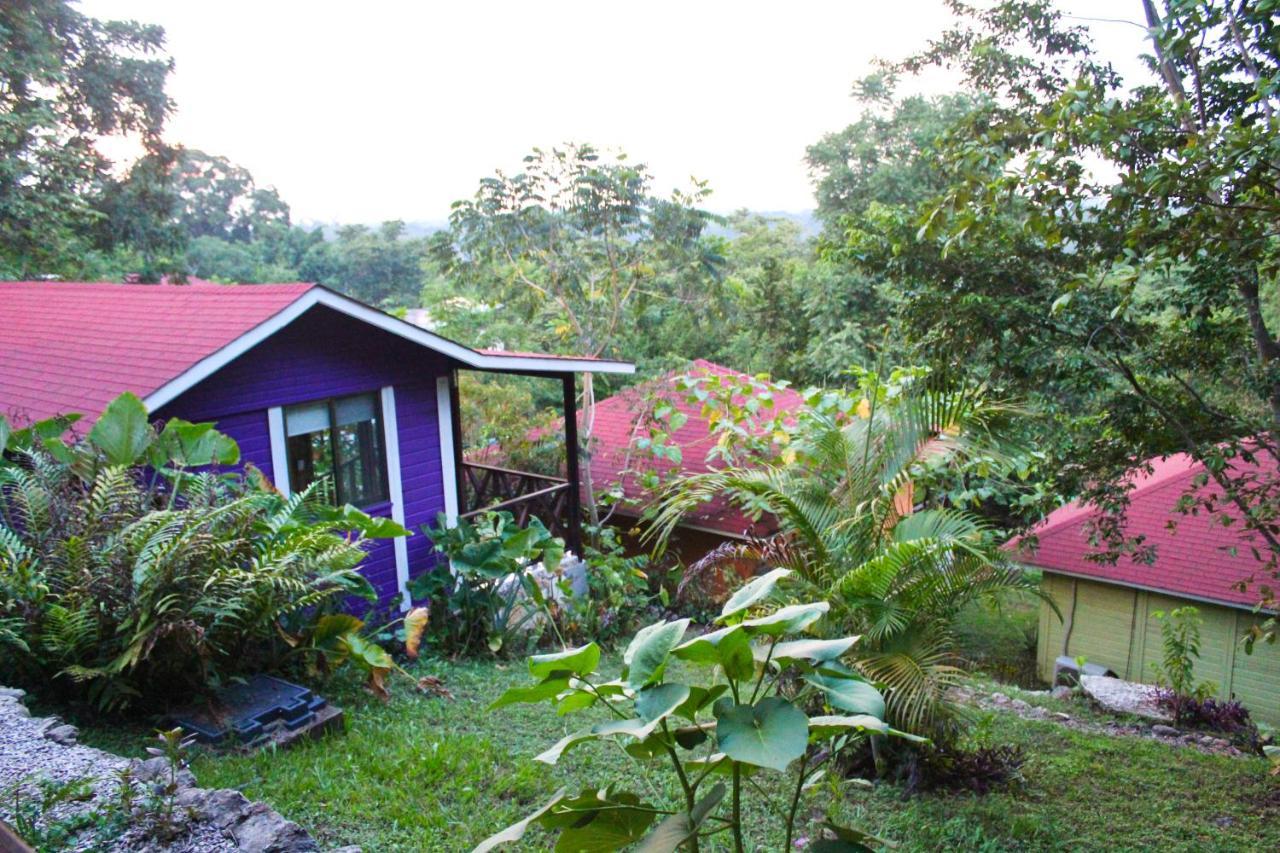 Winika Alterra Villa Palenque Dış mekan fotoğraf