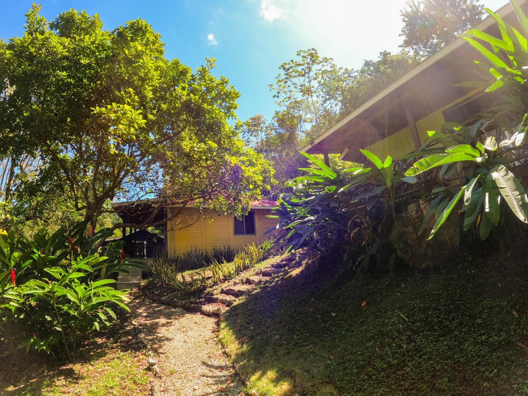 Winika Alterra Villa Palenque Dış mekan fotoğraf